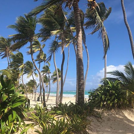 Art Villa Dominicana Punta Cana Bagian luar foto